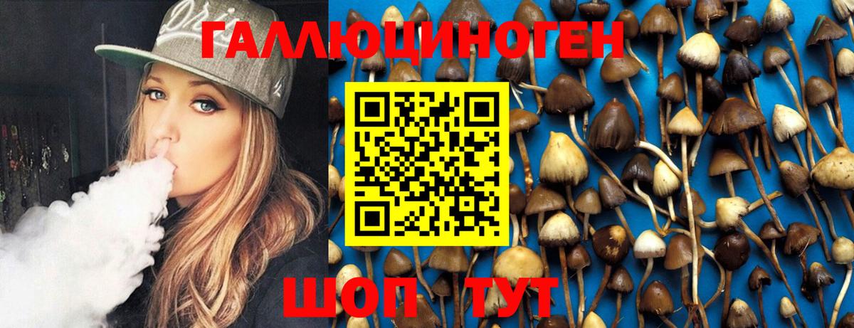 Галлюциногенные грибы Cubensis Кольчугино